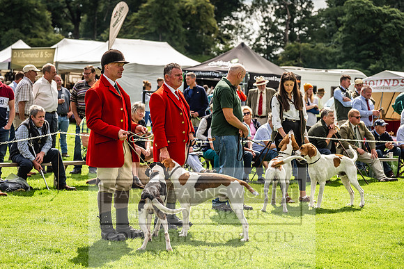 Rydal Hound show 2023-136