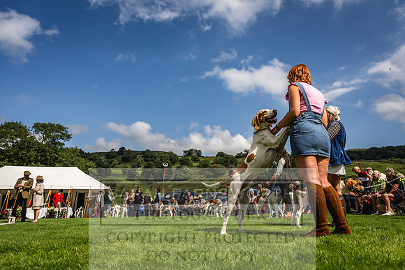 Rydal Hound show 2023-139