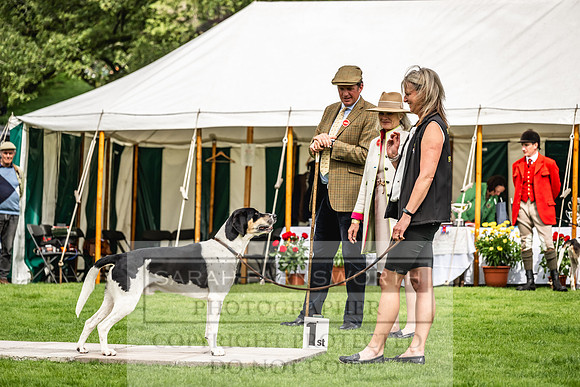Rydal Hound show 2023-138