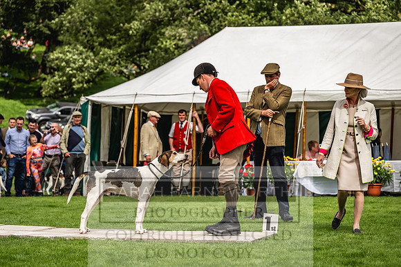 Rydal Hound show 2023-140
