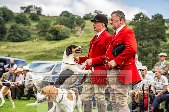 Rydal Hound show 2023-141