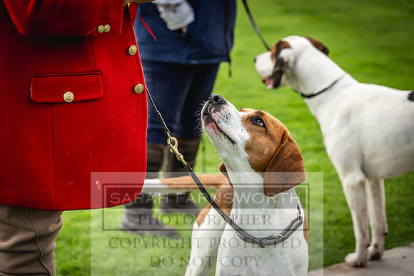 Rydal Hound show 2023-143