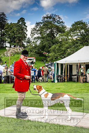 Rydal Hound show 2023-144