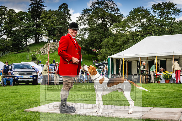 Rydal Hound show 2023-145