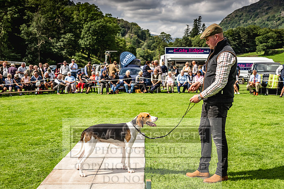Rydal Hound show 2023-146