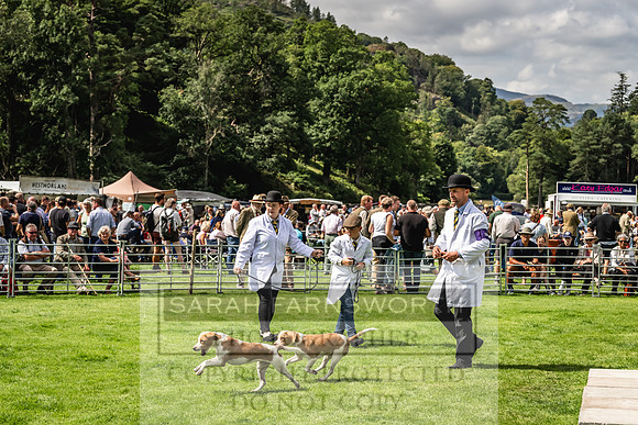 Rydal Hound show 2023-148
