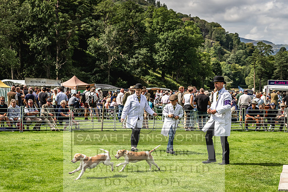 Rydal Hound show 2023-149