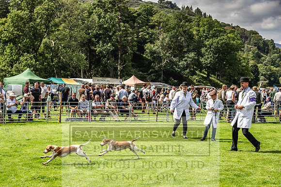 Rydal Hound show 2023-150