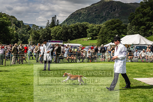 Rydal Hound show 2023-151