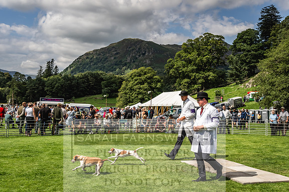 Rydal Hound show 2023-152