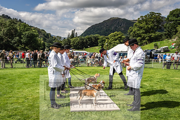 Rydal Hound show 2023-153