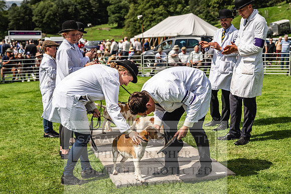 Rydal Hound show 2023-154