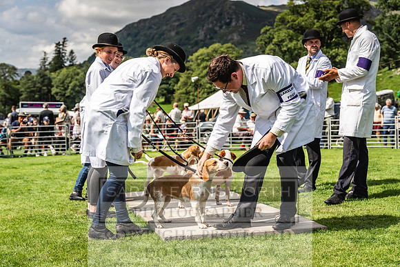 Rydal Hound show 2023-155