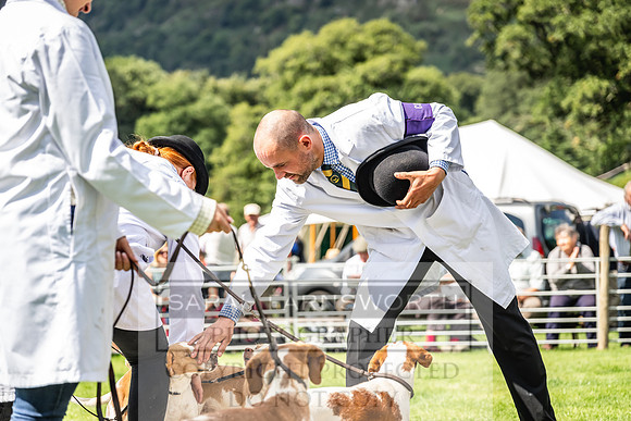 Rydal Hound show 2023-157
