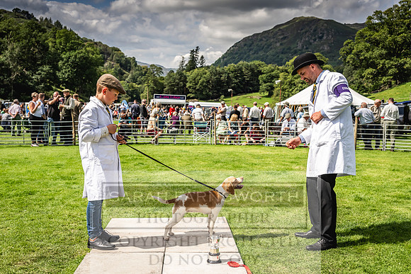Rydal Hound show 2023-158