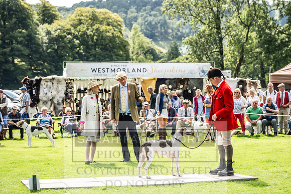 Rydal Hound show 2023-160