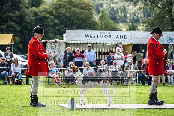 Rydal Hound show 2023-161