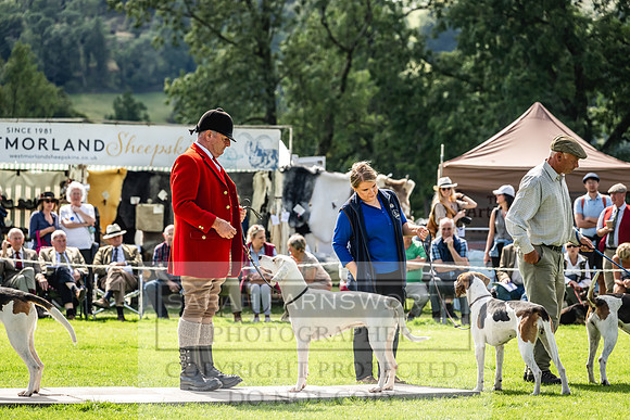 Rydal Hound show 2023-162
