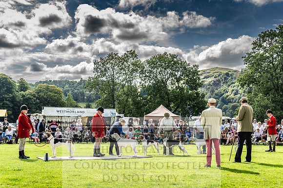 Rydal Hound show 2023-163