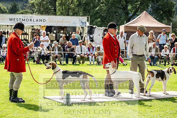 Rydal Hound show 2023-164