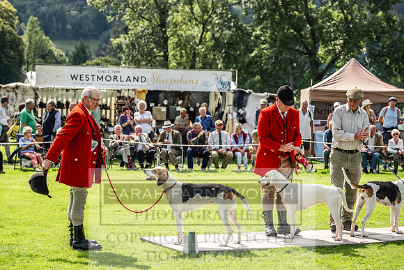 Rydal Hound show 2023-165