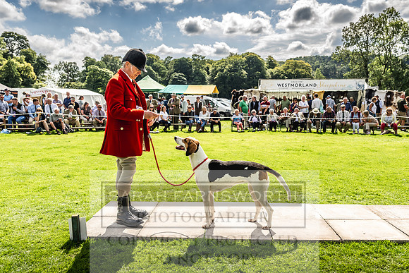 Rydal Hound show 2023-166