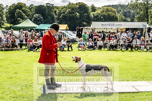 Rydal Hound show 2023-167