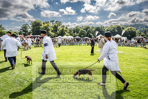 Rydal Hound show 2023-168