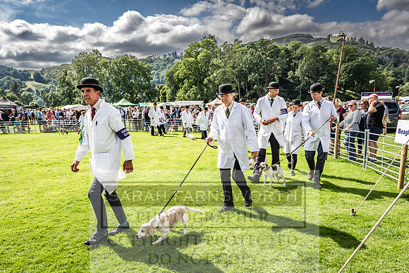 Rydal Hound show 2023-169