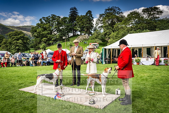 Rydal Hound show 2023-170