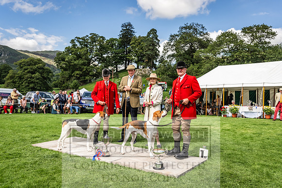 Rydal Hound show 2023-172