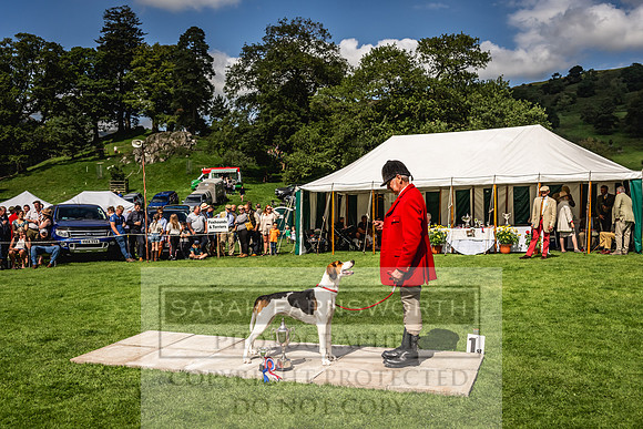 Rydal Hound show 2023-173