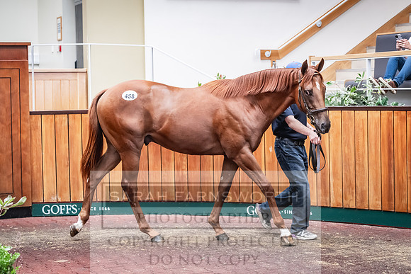 Goffs UK PY24-576