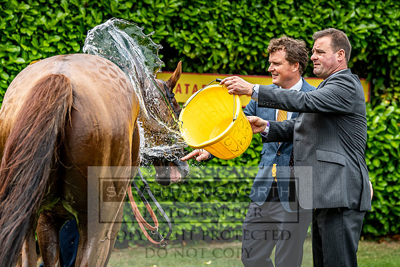 GUK Goodwood Sale 2019-30