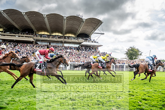 GUK Goodwood Sale 2019-109