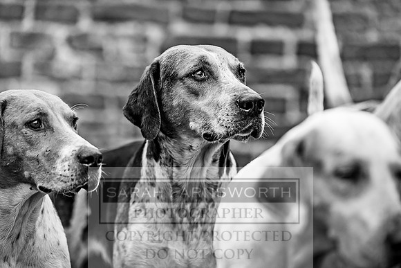 Ledbury 090318-637