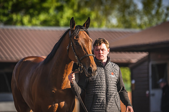 Goffs UK Breeze Up 2022-25