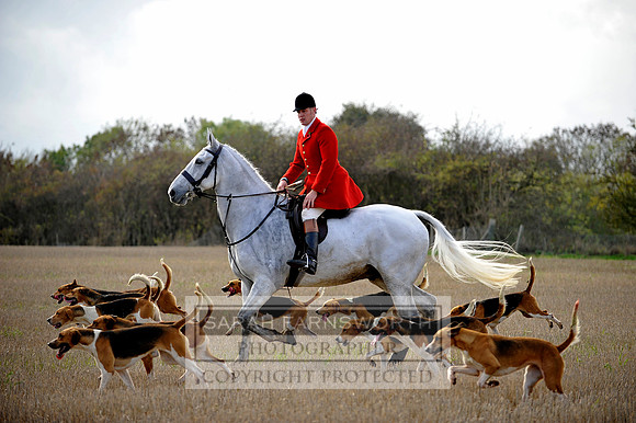 Brocklesby 021113 CF3 691