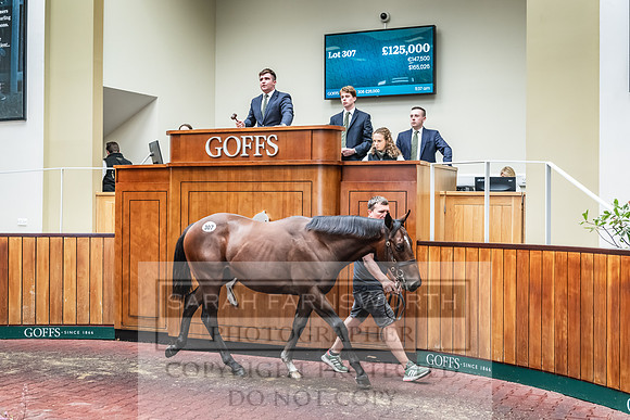 Goffs UK PY24-410