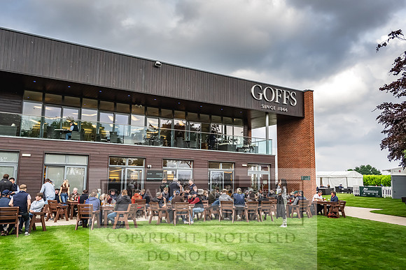 Goffs UK Spring Sale 2024-196