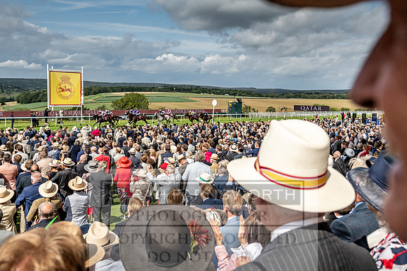 GUK Goodwood Sale 2019-155
