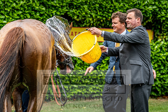 GUK Goodwood Sale 2019-29