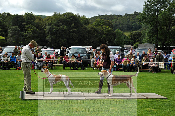 Rydal 2014 CF1 056
