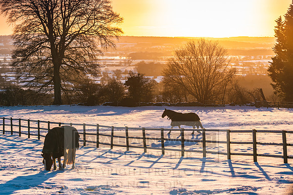 Snowy Cotswolds January 2021-19