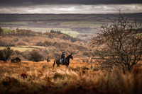 Exmoor Autumn 2020-5