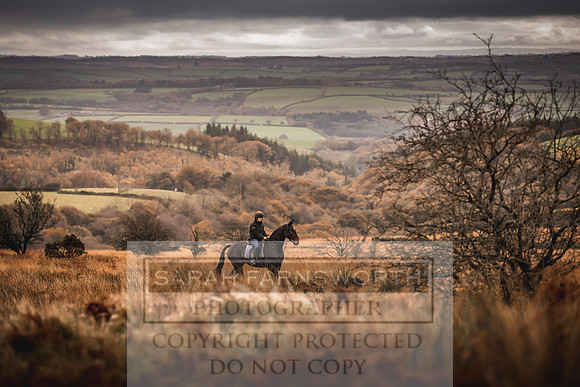 Exmoor Autumn 2020-5