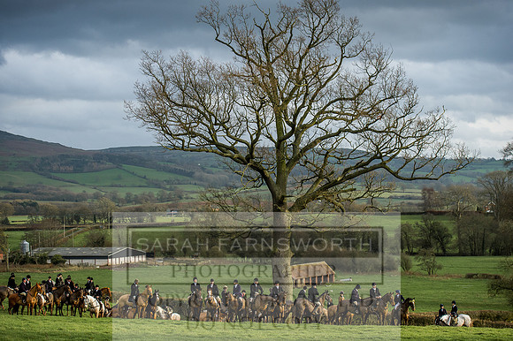 Ludlow 261215-421