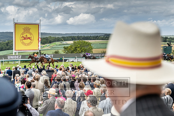 GUK Goodwood Sale 2019-59