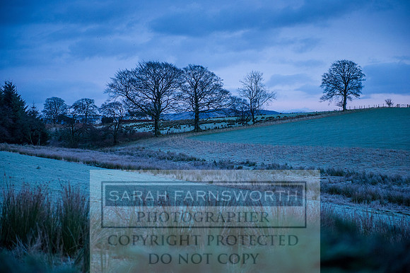 JED 010116-1