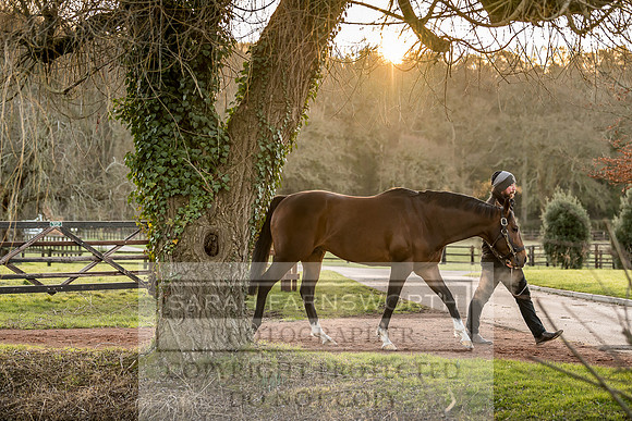 Tweenhills January 2019-82
